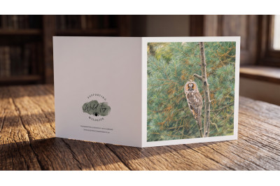Long Eared Owl Greeting Card